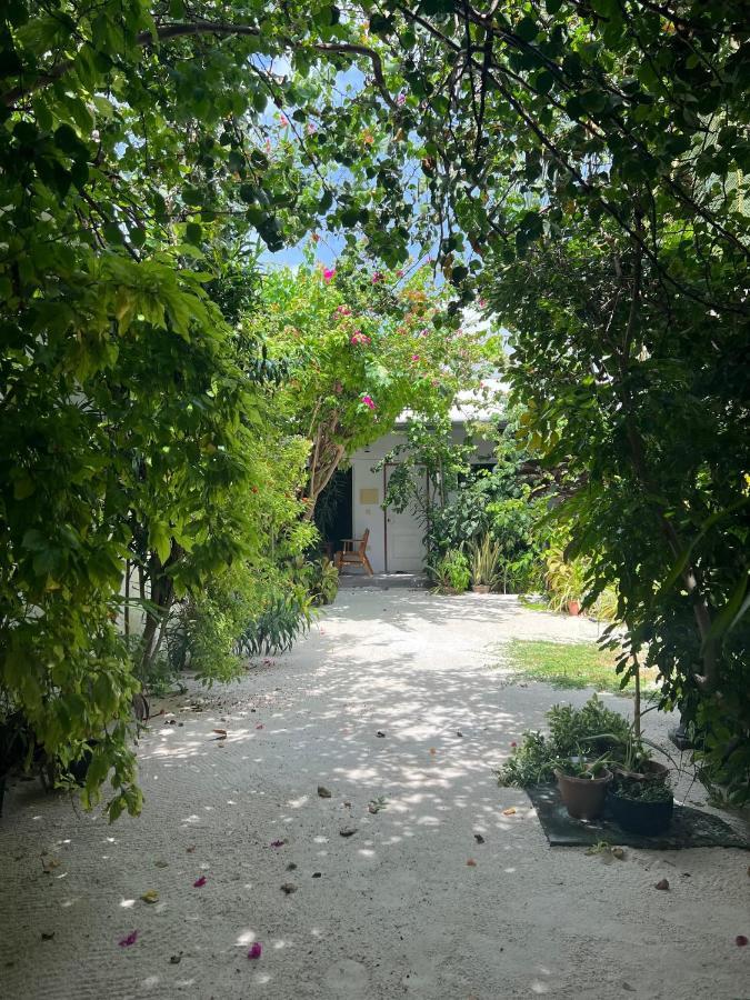 Lagoon Villa Maldives Thoddoo Exterior photo